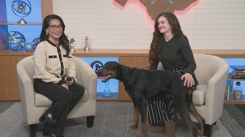 Overview of blitz online