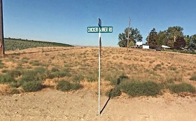 Best chicken road online in Spain